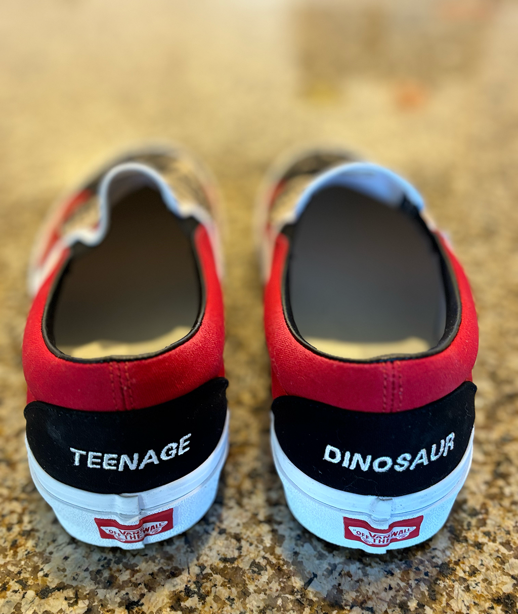 CUSTOM TEENAGE DINOSAUR VANS®